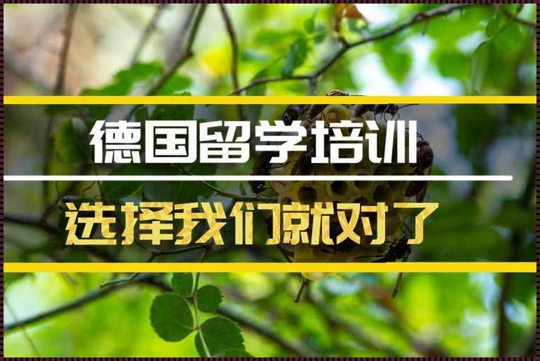 为什么很少人去德国留学 为什么德国留学的很少