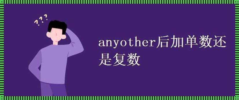 anyother后面跟单数还是复数（any other后跟单数名词还是复数的?）