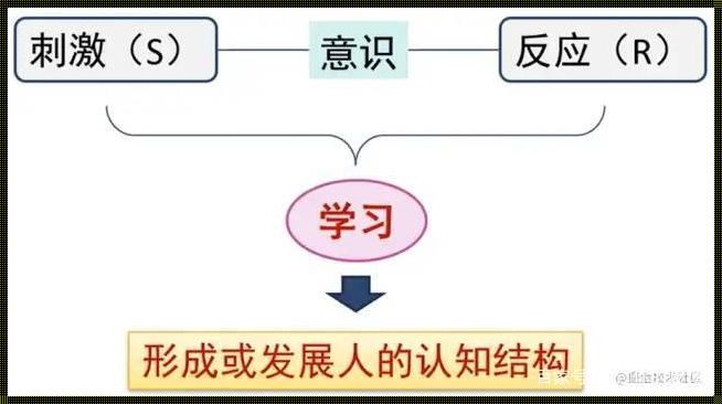 认知学习理论[认知学习理论与刺激反应学习理论各自的特征是什么?]