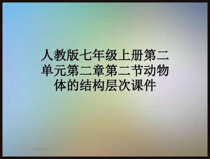 动物体的结构层次教学视频（高等动物体的结构层次）