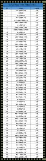 山东专科学校公办有哪些？探索你的未来之路！