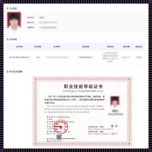 职业技能等级证书查询官网免费：开启职业发展新篇章
