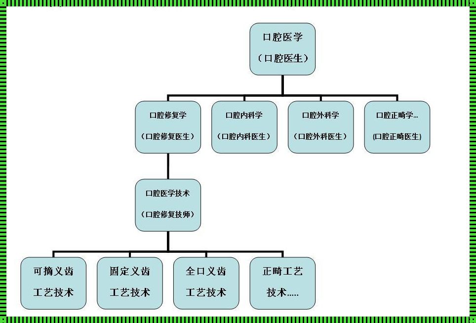 大专口腔医学：探索学科的深度与广度