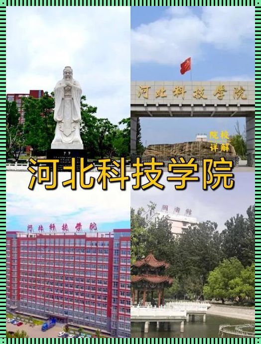 保定科技学院：专科？本科？探秘其中的奥秘