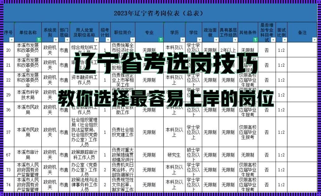 揭开神秘面纱：沈阳2023省考职位表的探寻之旅