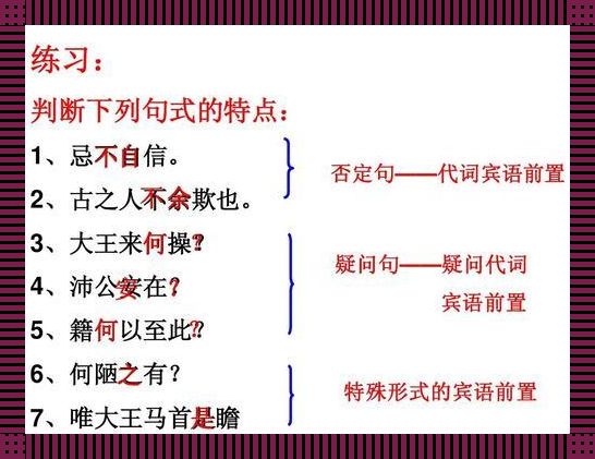 何以至此：探索特殊句式的深邃内涵