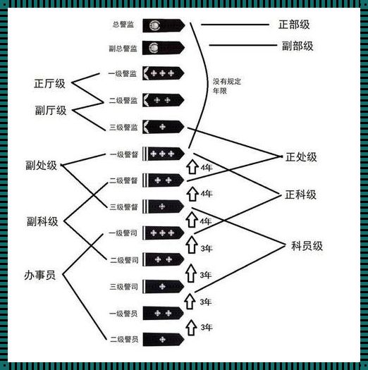 警察肩章级别图解：制度与个性的交响曲