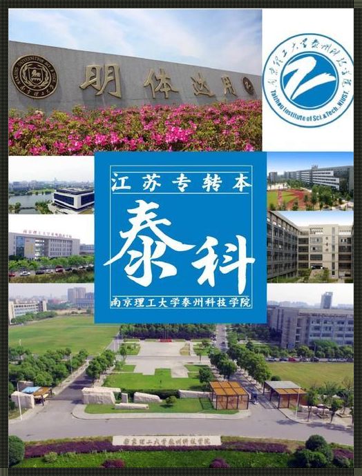 南京理工大学泰州科技学院：探秘“好不好”的真相