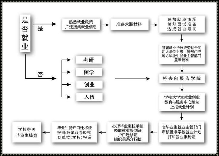 国家专项毕业后怎么就业