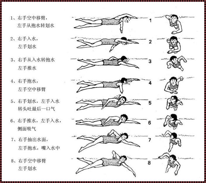 怎样学游泳最快最好：拨云见日，泳池畅游不是梦