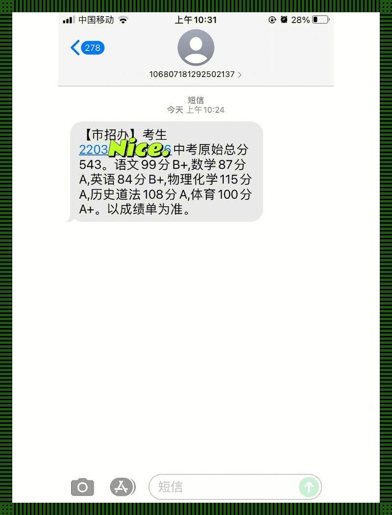 穿越时空的成绩单：中考成绩短信查询揭秘