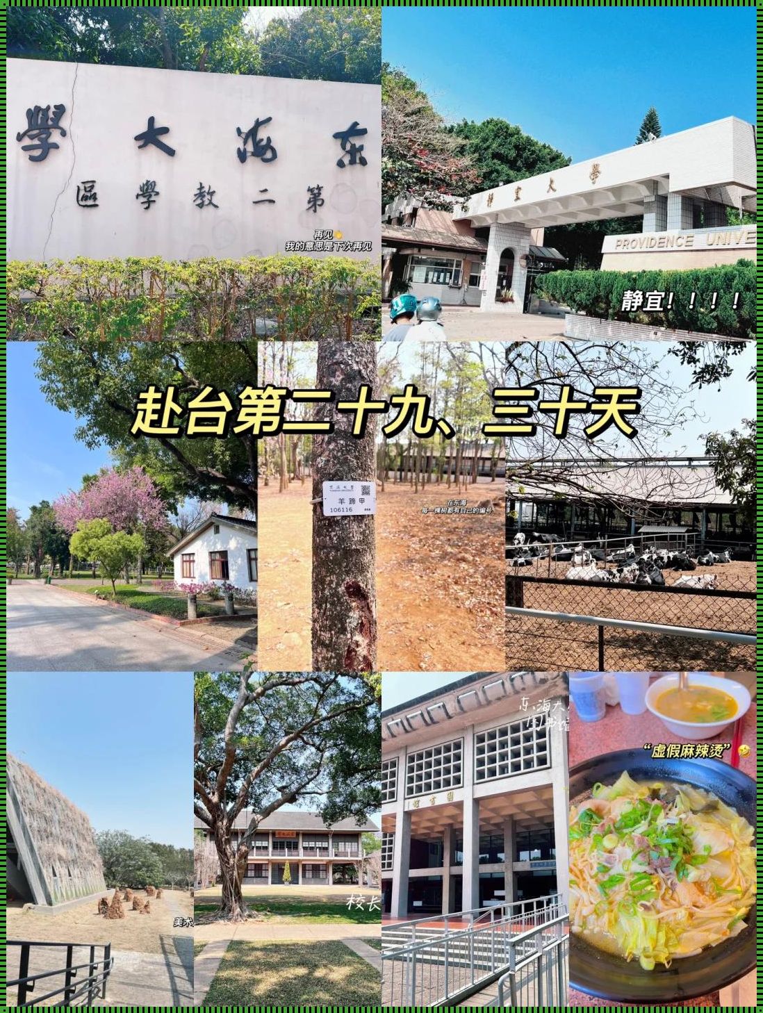 台湾静宜大学学费多少：探索与启示