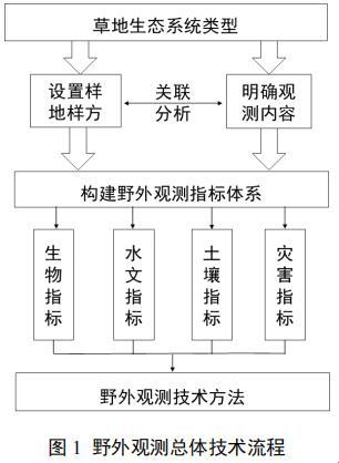 生态探秘：揭开自然之谜的惊奇之旅